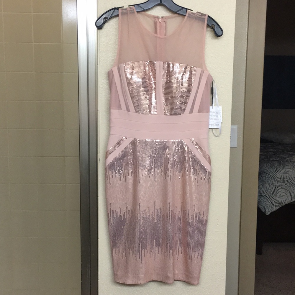 Blush Pink Calvin Klein Cocktail Dress